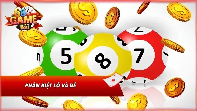 Phân biệt 2 loại hình
