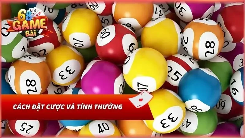 Chi tiết hướng dẫn đặt cược