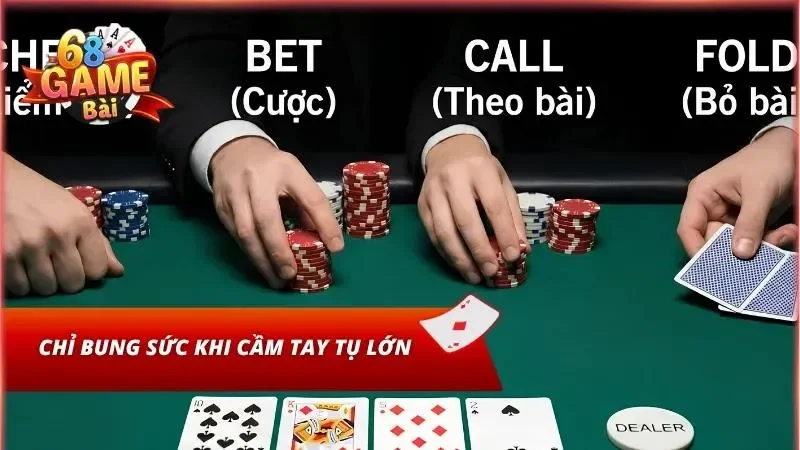 Đừng biến sự tự tin thành lý do đốt sạch vốn
